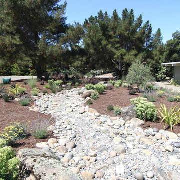 Los Altos Dry Creek Bed