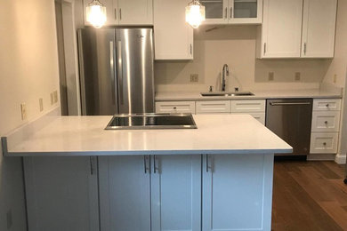 Mid-sized elegant single-wall dark wood floor and brown floor kitchen photo in Other with an undermount sink, shaker cabinets, white cabinets, solid surface countertops, stainless steel appliances, no island and white countertops