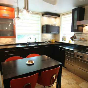 Contemporary Minimalist Kitchen