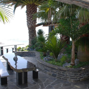Coastal Palm Garden