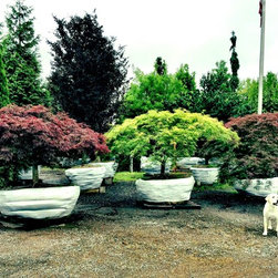 Pontiac Nursery - Products