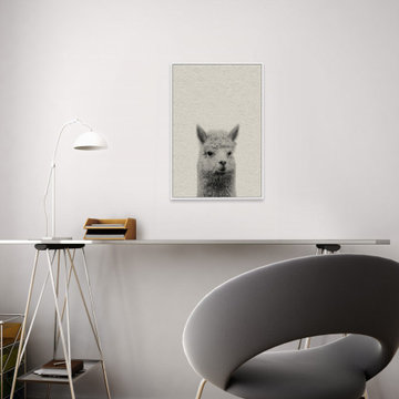 "Llama Surprise" Floater Framed Painting Print on Canvas