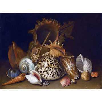Tile Mural, Still Life of Sea Shells By Circle of Antoine Berjon Ceramic, Matte