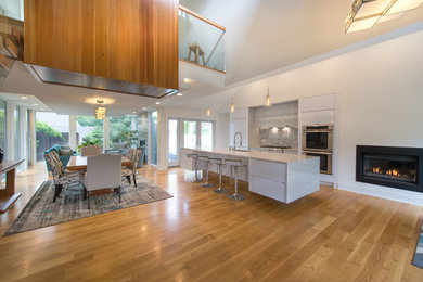 Kitchen/dining room combo - large contemporary light wood floor and beige floor kitchen/dining room combo idea in Boston with white walls and a ribbon fireplace