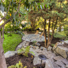 Shade Hill landscape Ideas