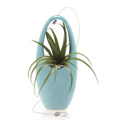 Hanging Aerium Egg-Blue - Products