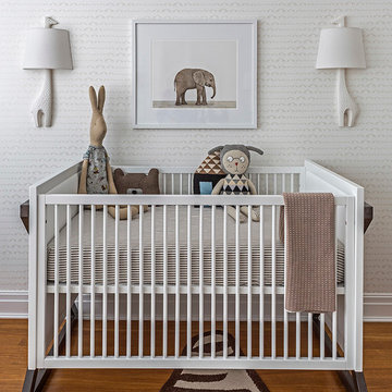 Daniel's Animal Kingdom Nursery