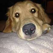 Amy Rogers's photo
