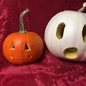 Debbie Stafechuck's photo