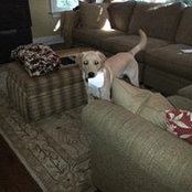 Mariann Contino Dalimonte's photo