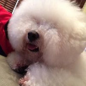 Jeff Liu's photo