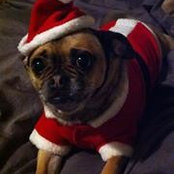 Laurey Maslyk's photo