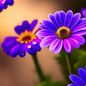 Alex Carter's photo