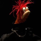 David Shives's photo