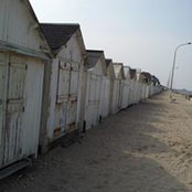 Foto von Deb Phalen