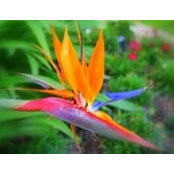 Maru Celaya's photo