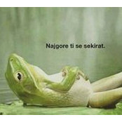 Nikola Kolovrat's photo