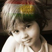 Bader El-ali's photo