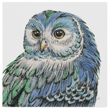 Daphne Brissonnet 'Beautiful Owls I Peacock Crop' Canvas Art, 14"x14"