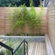 Exterior Ideas