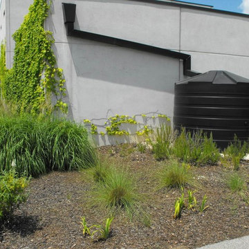 Rain Water Harvesting