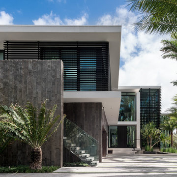 15 Palm