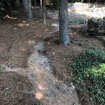 Dry Riverbed/Drainage/Mossrock Accent Walls/Low Voltage Lighting