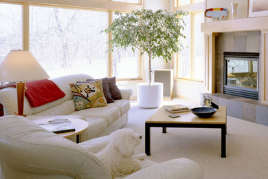 Example of a danish living room design in Sacramento