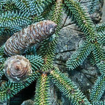 Munkhus Blomsterbinderi