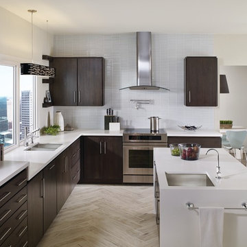 Moen® Tilt™ Contemporary Kitchen