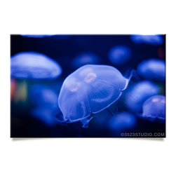 Jellyfish Collection - Prints And Posters