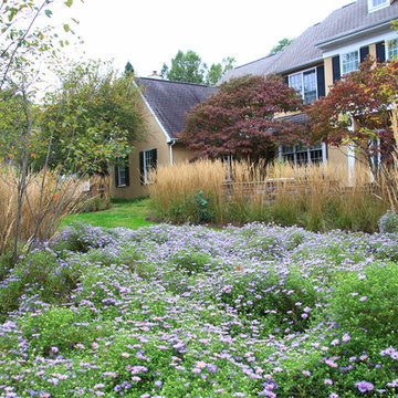 Griffiths Gardens