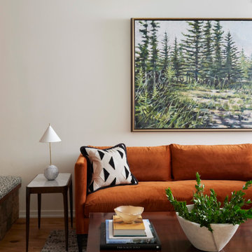 East Grand Rapids Cozy Modern