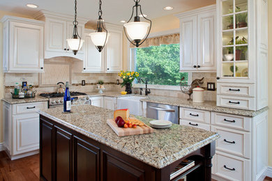 Elegant kitchen photo in St Louis