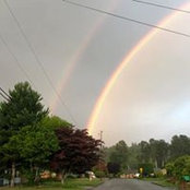 Laura Buchwald's photo