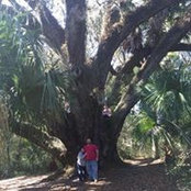 Joy Roberts's photo