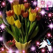 Nancy Hensel- Blaser's photo