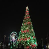 Curt Nibert's photo
