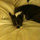 webuser_71728