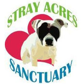 Foto von Stray Acres