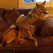 Joe Waldholtz's photo