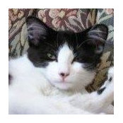 Sheila Choy's photo