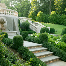 steps