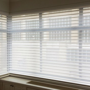 Hunter Douglas Silhouettes Shade Manhattan by Window Horizons Corp
