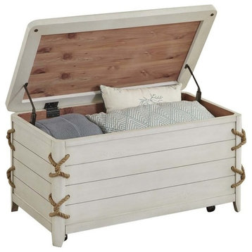 Bowery Hill Storage Trunk in White