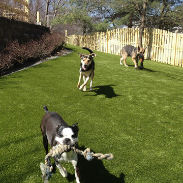 Artificial Pet Grass