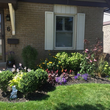 Small garden renovation and design