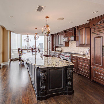 Chicago Gold Coast Kitchen Remodel