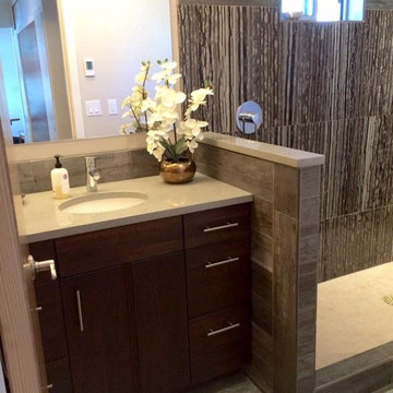 Manette Master Bathroom Project