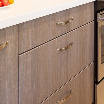 Modern Galley Kitchen in Alameda